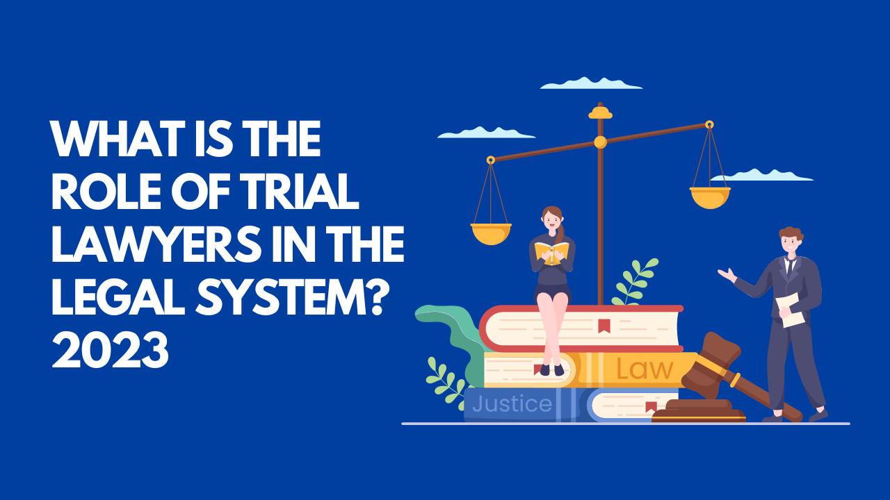 What is the role of trial lawyers in the legal system